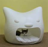 Images Of Cat Beds Images