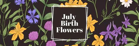 July Flowers Flora Ritualis