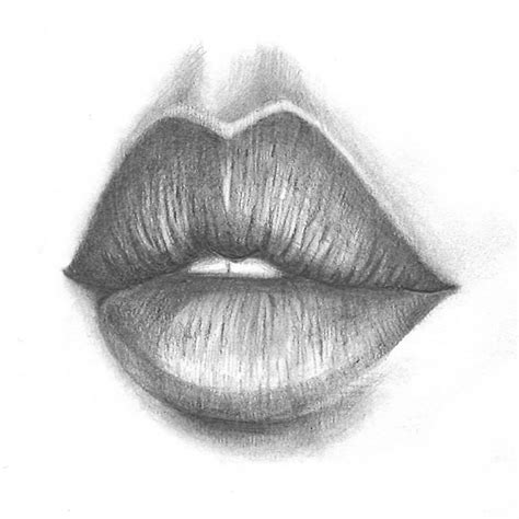 How To Draw A Realistic Lips Lipstutorial Org