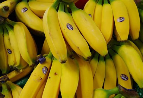 Banana Prices Rise Financial Tribune