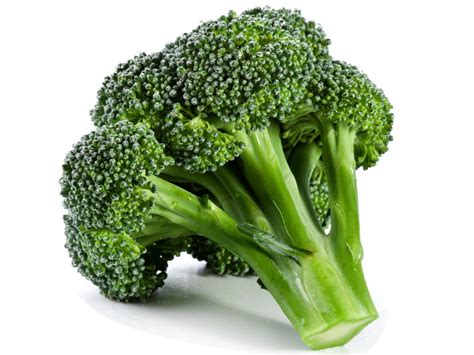 Broccoli All You Need To Know