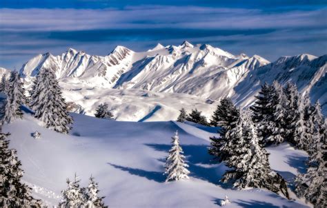 Wallpaper Winter Snow Trees Mountains Switzerland Ate The Pennine