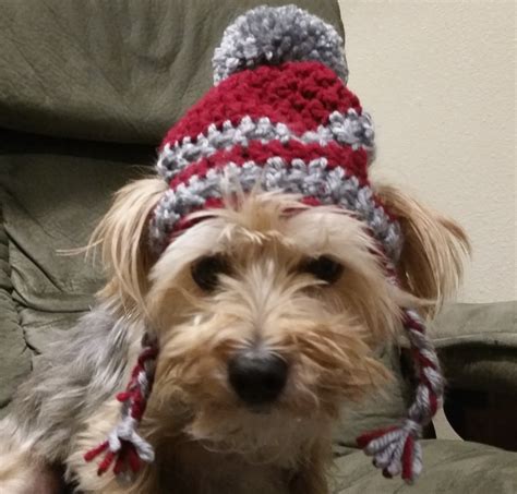 Crochet Hat For Dogs Tutorial