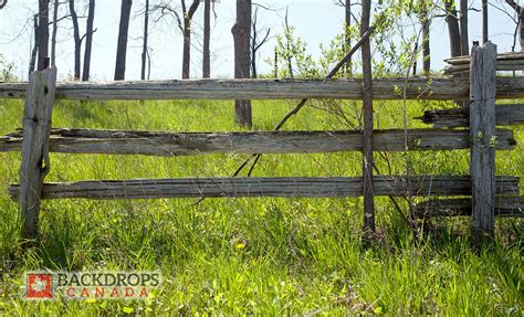 Old Wooden Fence In The Grass Backdrops Canada
