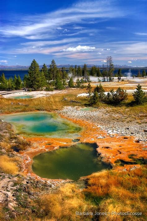 West Thumb Geyser Basin Yellowstone National Park Usa By Barbara