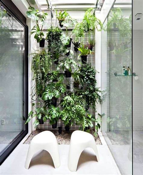 Best Bathroom Plants To Decorate Your Modern Bath With