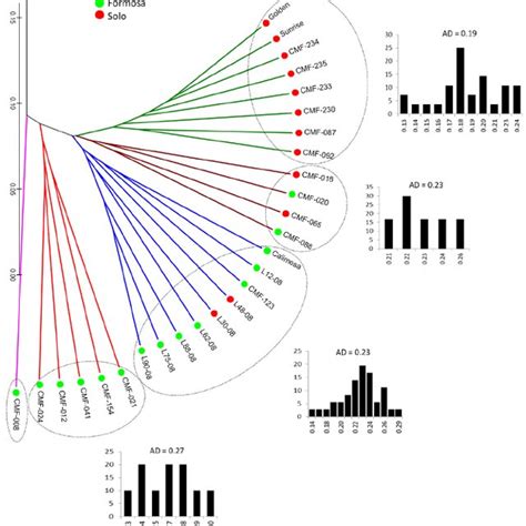 Molecular Profile From Aflp Markers That Characterize Each Papaya