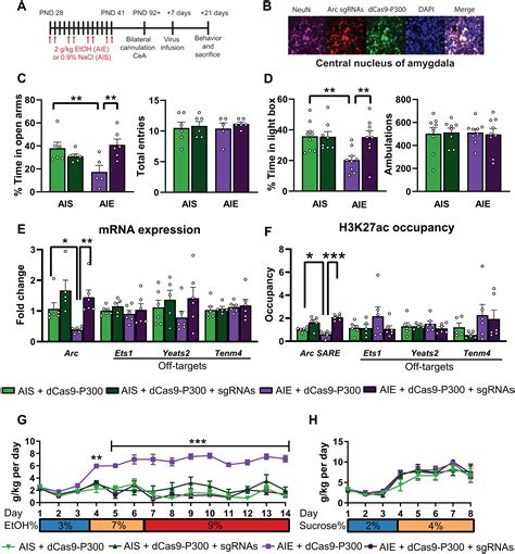 Targeted Epigenomic Editing Ameliorates Adult Anxiety And Excessive