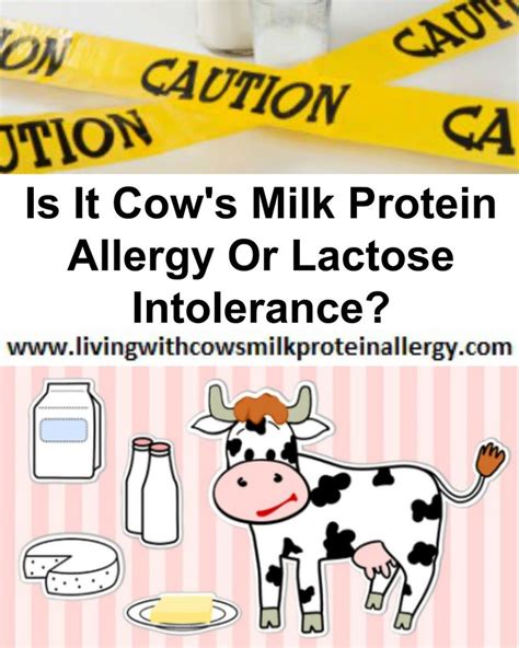 Kosher labeling in general cannot be used as a guide to determining whether a product does or does not contain milk.¹ however, many parents find they can save time in the supermarket by. Cow`S Milk Protein Allergy Mother`S Diet For Breastfeeding ...