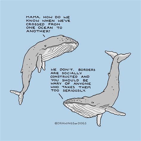 Whale Wisdom