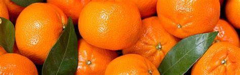 Mandarin Tangerine And Clementine Market Summary Produce Blue Book