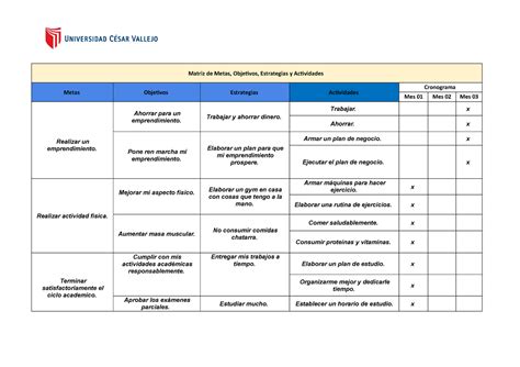 Matriz De Metas Objetivos Estrategias Y Actividades Metas Objetivos