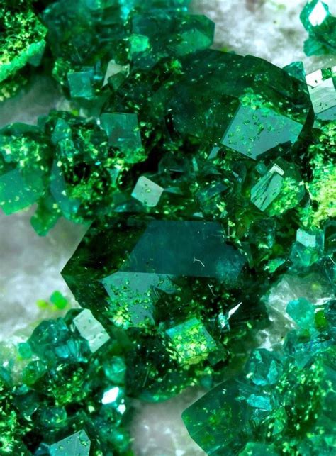 Emerald Green — Upspring Green Thing Green Aesthetic Dark Green