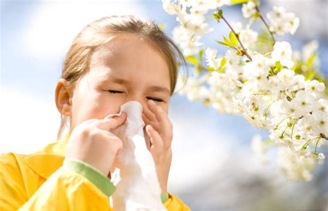 How Can I Treat My Childs Spring Allergies Chacko Allergy