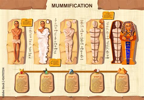 Ancient Egypt Mummification Process Step By Step