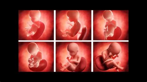 Flujo Primeros Dias Embarazo Antes Primera Falta - Sintomas de embarazo ~ FOTOS 1920x1080