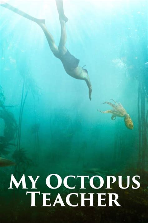 A filmmaker forges an unusual friendship with an octopus living in a south african kelp forest, learning as the animal. Dr. Donna's Movie Reviews: MY OCTOPUS TEACHER