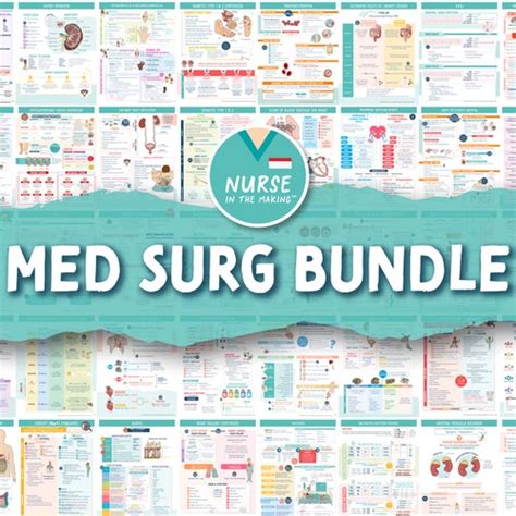 Med Surg Study Guide Bundle 200 Pages Digital Download Etsy