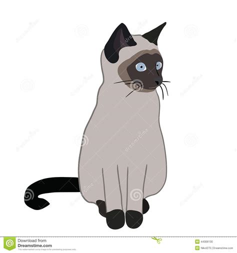 Siamese Cat In Vector Stock Vector Illustration Of