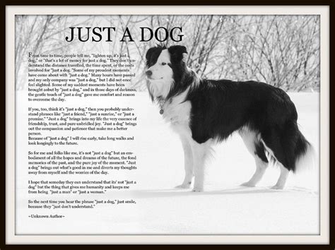 Just A Dog Poem By Judy M Curran Via Flickr Dog Poems Dog Quotes