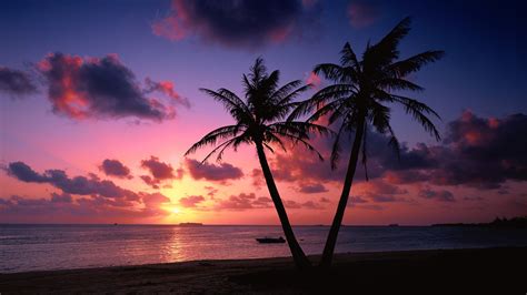 Tropical Beach Sunset wallpaper | nature and landscape | Wallpaper Better