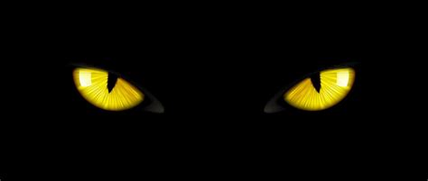 Black Cat Eyes Yellow Glowing Panther Pupils 25448797 Vector Art At