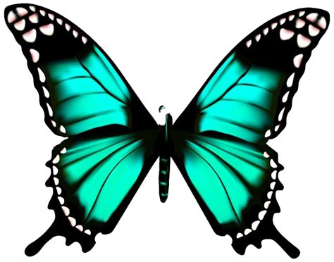 Animated Butterfly Png High Quality Image Png Arts
