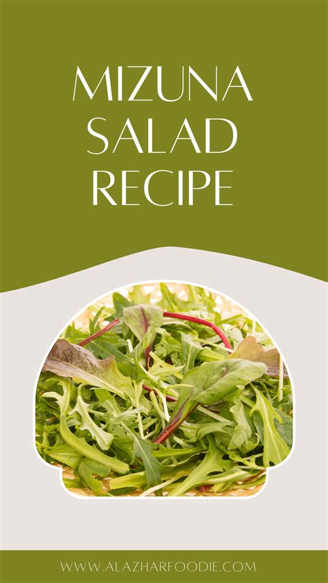 Mizuna Salad Recipe Al Azhar Foodie