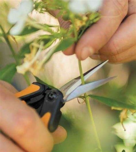Fiskars Solid Snip Pruning Micro Tip Sp13 Newgate Nurseries