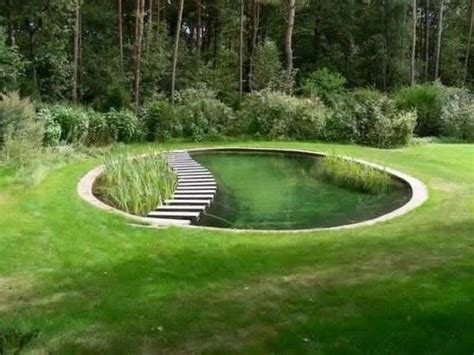 Fascinating Backyard Swimming Ponds Ideas 48 Natural Pond Natural Pool Natural Swimming Ponds