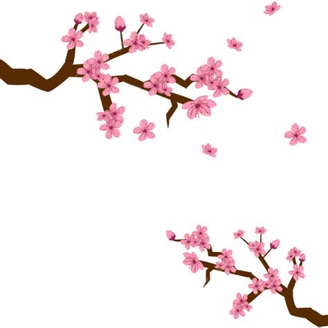 Cherry Blossoms Fall Pink Flower Cherry Blossoms Png Transparent