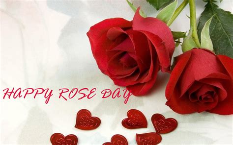 Happy Rose Day 2018 Whatsapp Status Dp Quotes Wishes Sms Hd Wallpapers