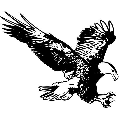 Hunting Eagle Sketch Png Svg Clip Art For Web Download Clip Art Png