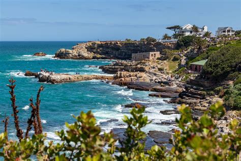Fun Things To Do In Hermanus Travel Guide 2024 Best Places To Visit