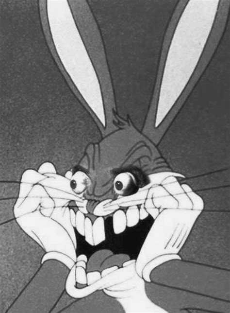 Buds Bunny Bugs Bunny Looney Tunes Cartoons Cartoon Icons