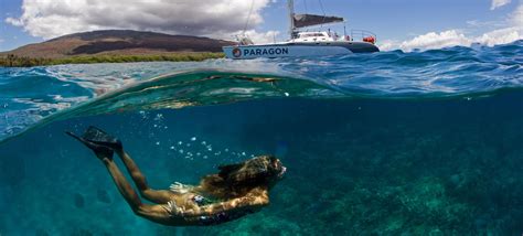 Lanai Coast Snorkel Hawaii Tours And Activities