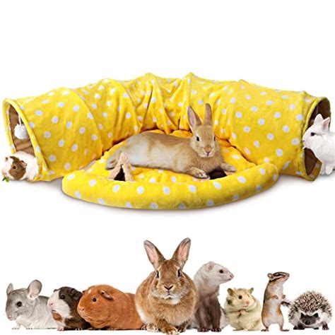 Best Beds For Rabbits Popular In Usa Bmi Calculator