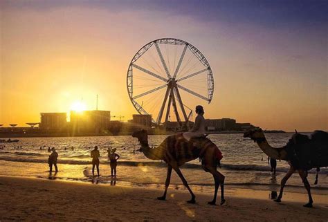 .jumeirah beach dubai, public beach dubai, دبي, dubai travel, the glorious jumeira beach is a white sand beach that is located and named after the jumeirah district of dubai, on the. 5 of the best free access beaches in Dubai - What's On Dubai