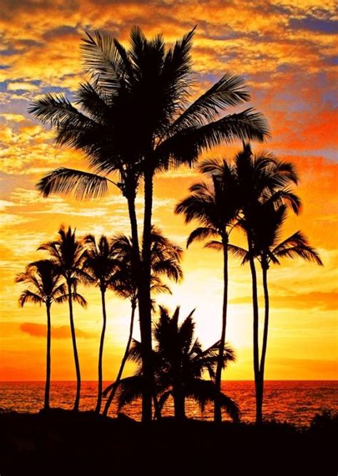 036 33610 — Wailea Maui Hawaii Sunset Beautiful Sunset Sunrise Sunset