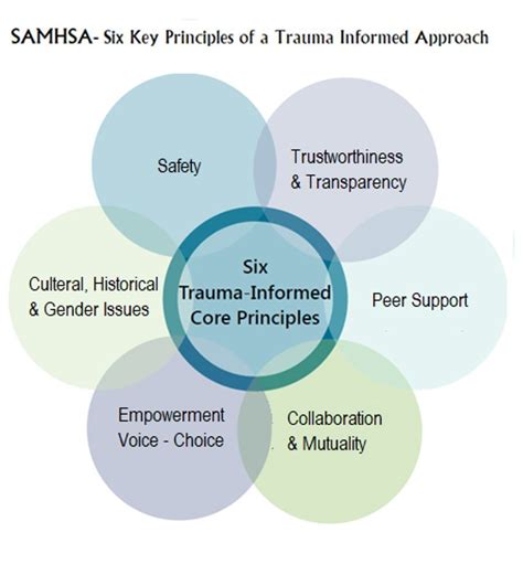 What Is Trauma Informed Care Approach