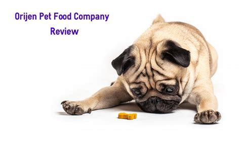 Orijen and acana are both sister companies owned by parent company champion pet food. A Quick Orijen Pet Food Company Review