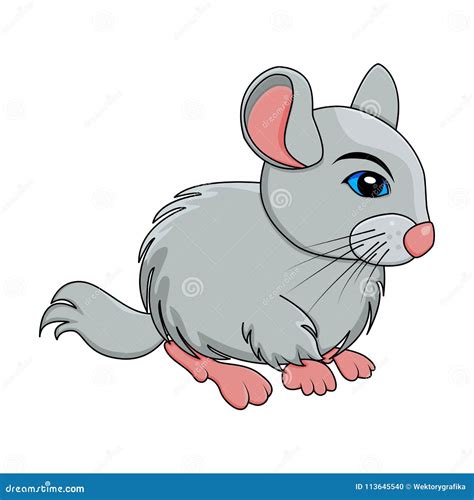 Cartoon Chinchilla Animal Vector Illustration 80278508