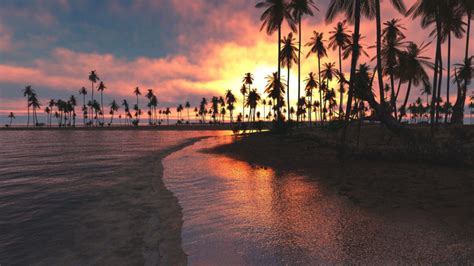 Nature Landscape Tropical Beach Sunset Palm Sea Clouds Sky
