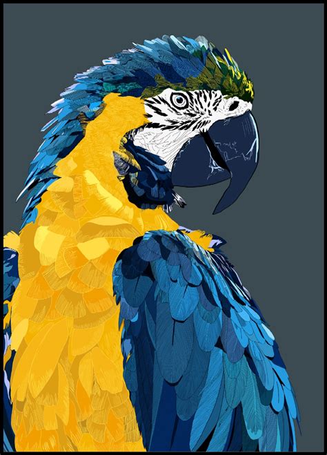 Colorful Parrot Illustration Poster Posteryard Snygga Posters Online