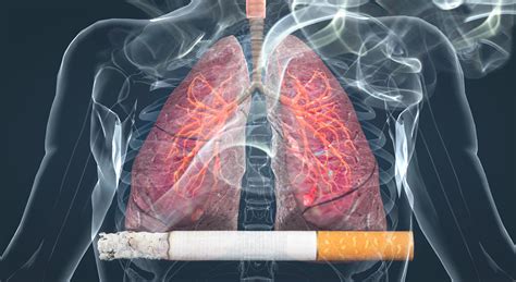 Effects Of Smoking On The Lungs 3d Scene Mozaik Digital Education And Learning