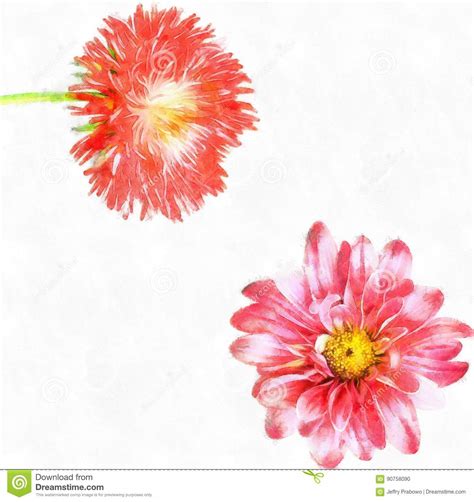 Watercolor Flower Spring Flower Isolated On Mona Lisa Flower Pink Flower Red Thistle Flower ...