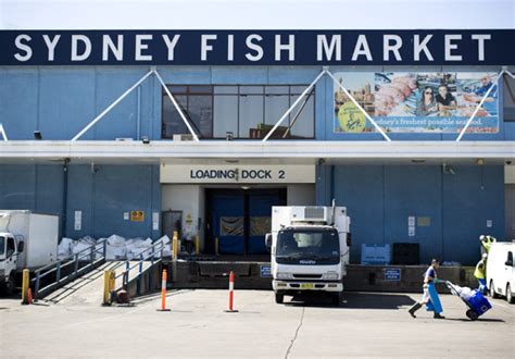 Sydney Fish Market 36 Hour Seafood Marathon