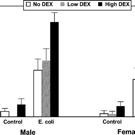 the effect of sex dexamethasone treatment dex and escherichia coli download scientific