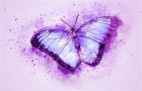 The Purple Butterfly Initiative Multiples Nz