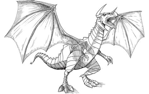 Colorea Tus Dibujos De Dragones Descarga Los ¡¡dibujos Gratis